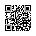 5118488A PASSENGERGRABSTRAP