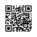 5119092 GRABSTRAP