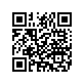 5119382 GRABSTRAP