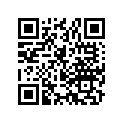 51223-958-681 Ring, Stopper