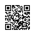 51252-49200-291 
