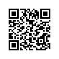 51281-45001-000 Кольцо/шайба