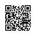 513033528 Foam