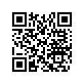 513033878 Foam