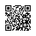 51414-461-003 Втулка напрявляющая