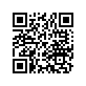 51420-965-681 Case, R. (lower)