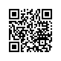 51421-461-003 Case, r. (lower)