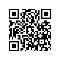 51431-KRN-A41 BUSH B, SLIDER