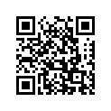 51451-29400 BOLT