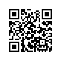 51475-GN2-671 Rubber, Stopper
