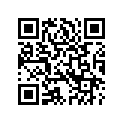 5150410 PILLION