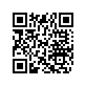 515175258 Verrou Male    *lock-male