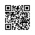 515175619 Cablage Rall.  *harness-extens.