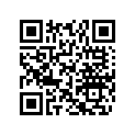 515176071 Terminal Femell*