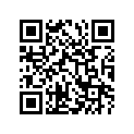 51530-29400-291 