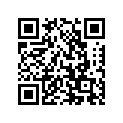 51530-45400-291 