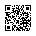 51530038300 CYLINDER 144             07