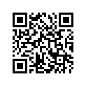 51540-29400-291 