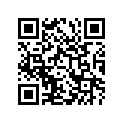 51540-38210-291 