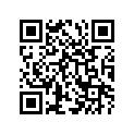 51571-29330-019 