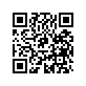516001641 Decal.ajust.   *decal-ajust. (air Shock 