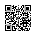516001706 Decalque Tunnel*tunnel Decal Track 151. 