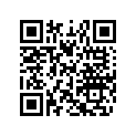 516002126 Decal.lat.inf.g*decal-lower Lh
