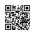 516002240 Decal.lat. Dr. *decal-side Rh Black B-16
