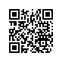 516002676 Decalque       *decal