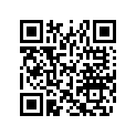 516002849 Decal.lat. Ga. *decal-side Lh (black-bla