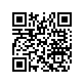 516002983 Decal.lat.inf.g*decal-lower Lh