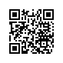 516003008 Decal.lat.inf.d*decal-lower Rh