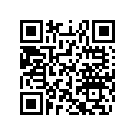516003011 Decal.lat.inf.g*decal-lower Lh (seashore