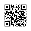 516003042 Decal.lat.droit*decal-side Rh