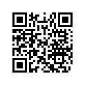 516003129 Decal.lat.inf.g*decal-lower Lh