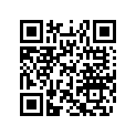 516003157 RH SIDE DECAL