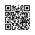 516003498 RH LOWER DECAL
