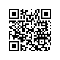 516003561 SIDE DECAL RH