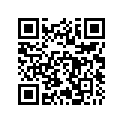 516003674 RH LOWER DECAL