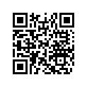 516003713 RH LOWER DECAL