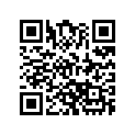 516003728 Decal.lat.ga   *lat Decal Lh (black-blac
