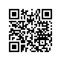 516003756 LOWER DECAL