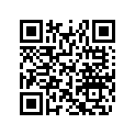 516003775 RH LOWER DECAL