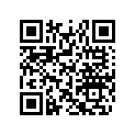 516003783 DECAL REV XR
