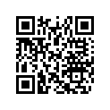 516003810 Decal.lat .g   *decal Lh