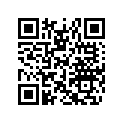 516003991 LH SIDE DECAL