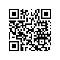 516004003 LH LOWER DECAL