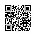 516004010 RH SIDE DECAL