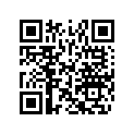 516004020 LH SIDE DECAL