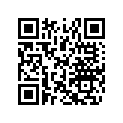 516004042 RH FRONT SIDE DECAL